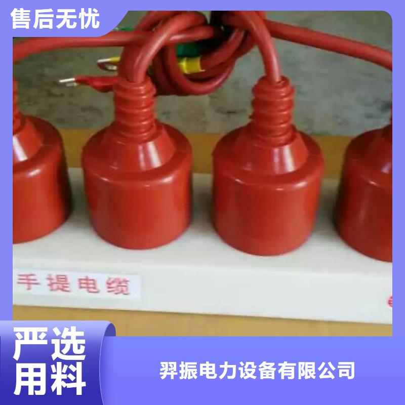 过电压保护器(组合式避雷器)BSTG-A-6.3-J