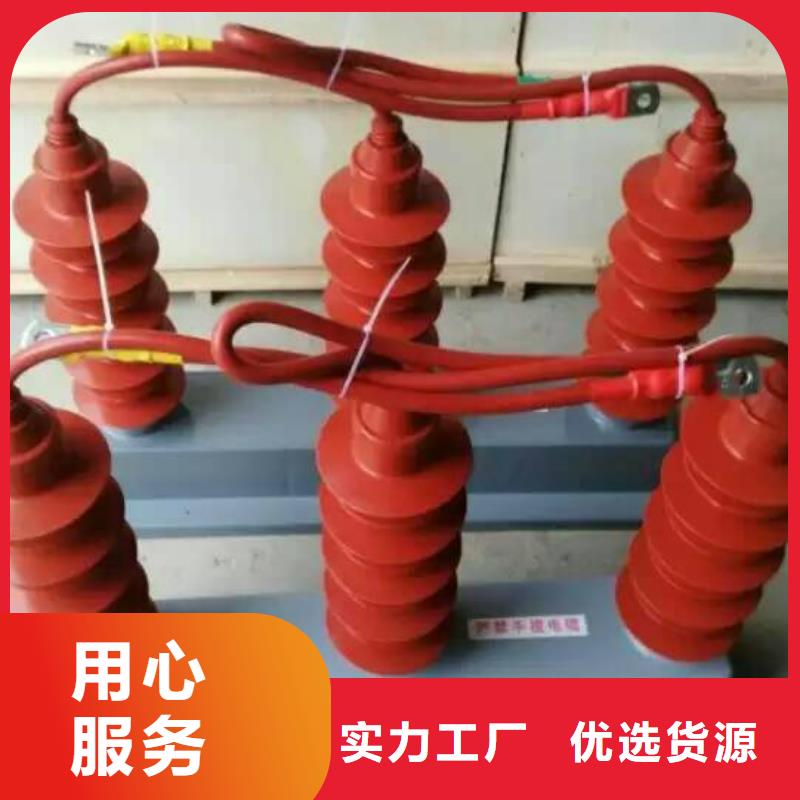 【避雷器/过电压保护器】YH5CR-51/116*2