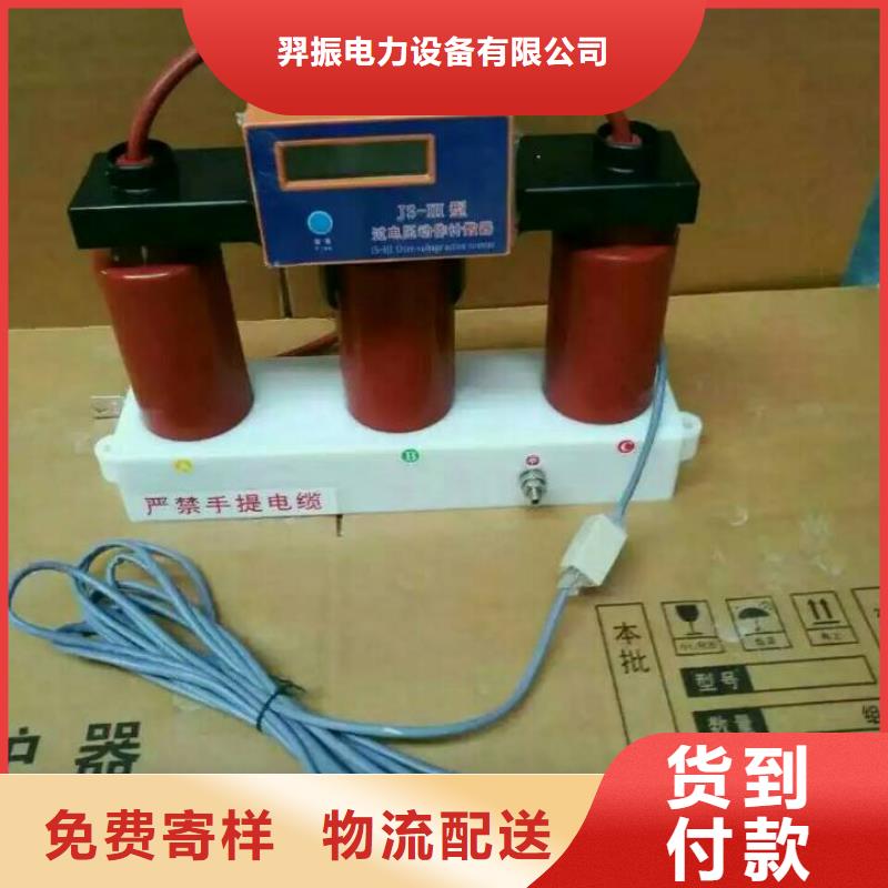 保护器(组合式避雷器)RSB-C/F-10.5-J