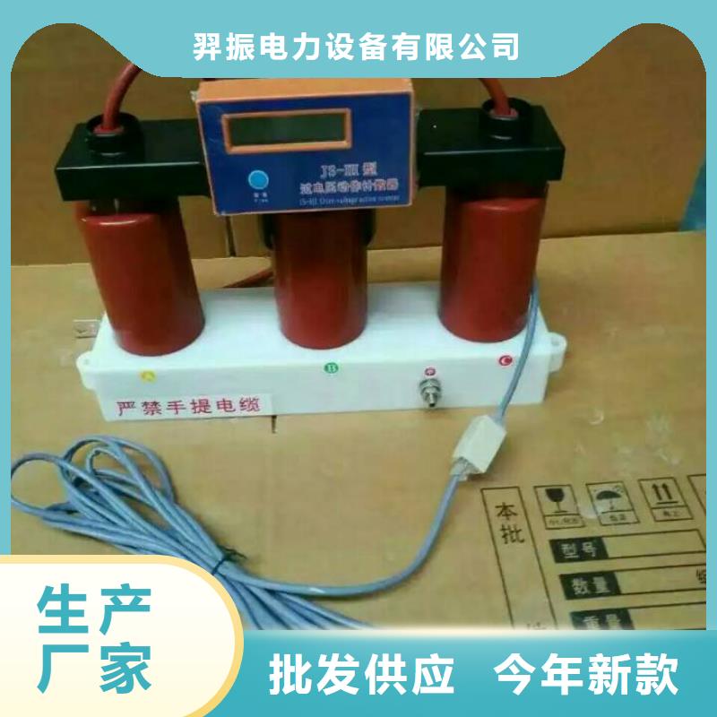 过电压保护器(组合式避雷器)BSTG-A-6.3-J