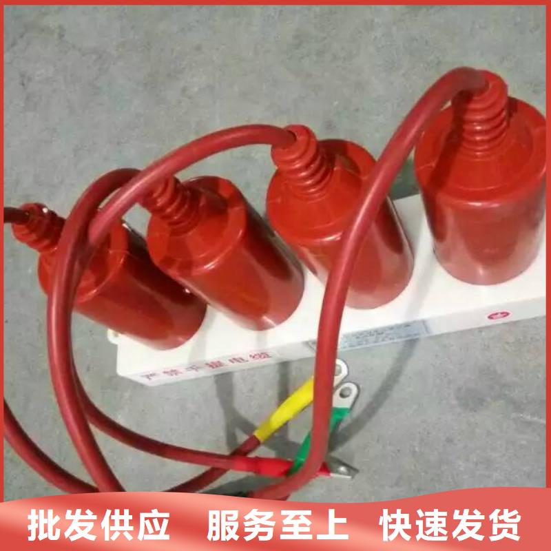 保护器(组合式避雷器)TBP-B-7.6F/85-J