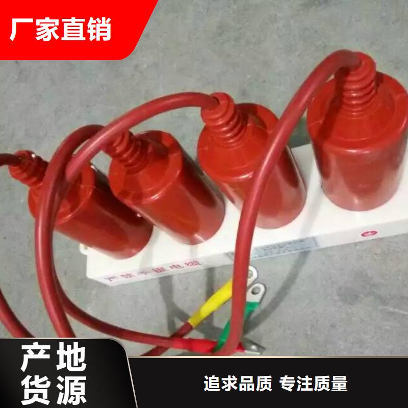 【避雷器/过电压保护器】TBP-A-42/280