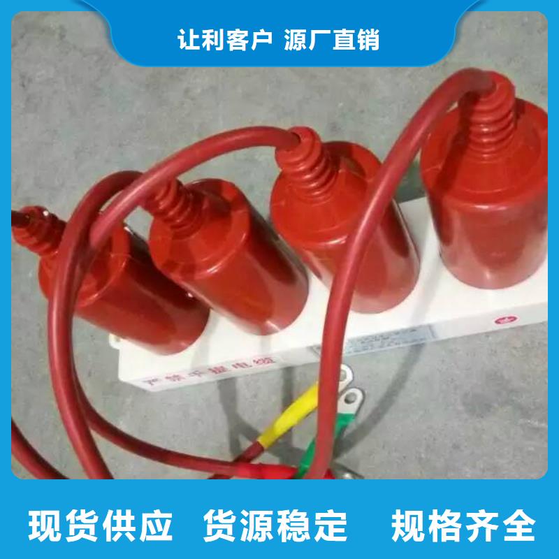 【羿振电气】保护器(组合式避雷器)TBP-B-35/310
