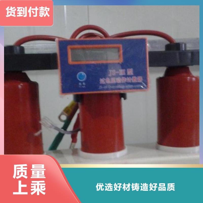 〖过电压保护器〗BSTG-A-17/600优惠报价