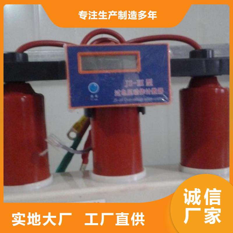 过电压保护器(组合式避雷器)TBP-A-42F/630W2