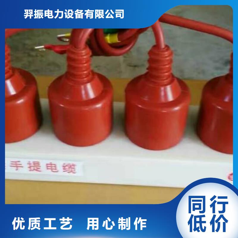 【避雷器/过电压保护器】TBP-C-10.5/85