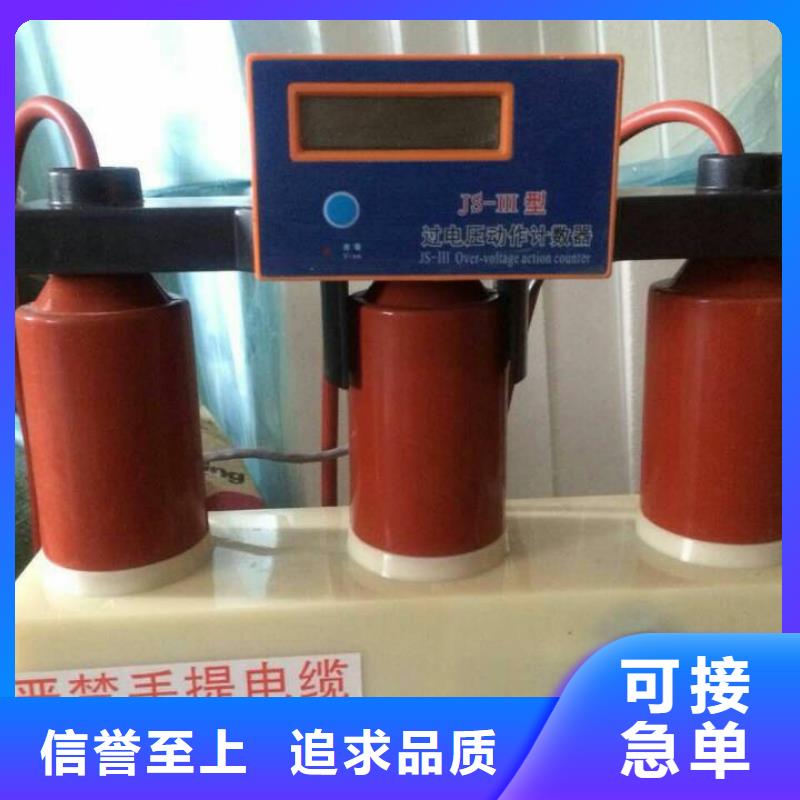 保护器(组合式避雷器)TBP-B-7.6F/85-J