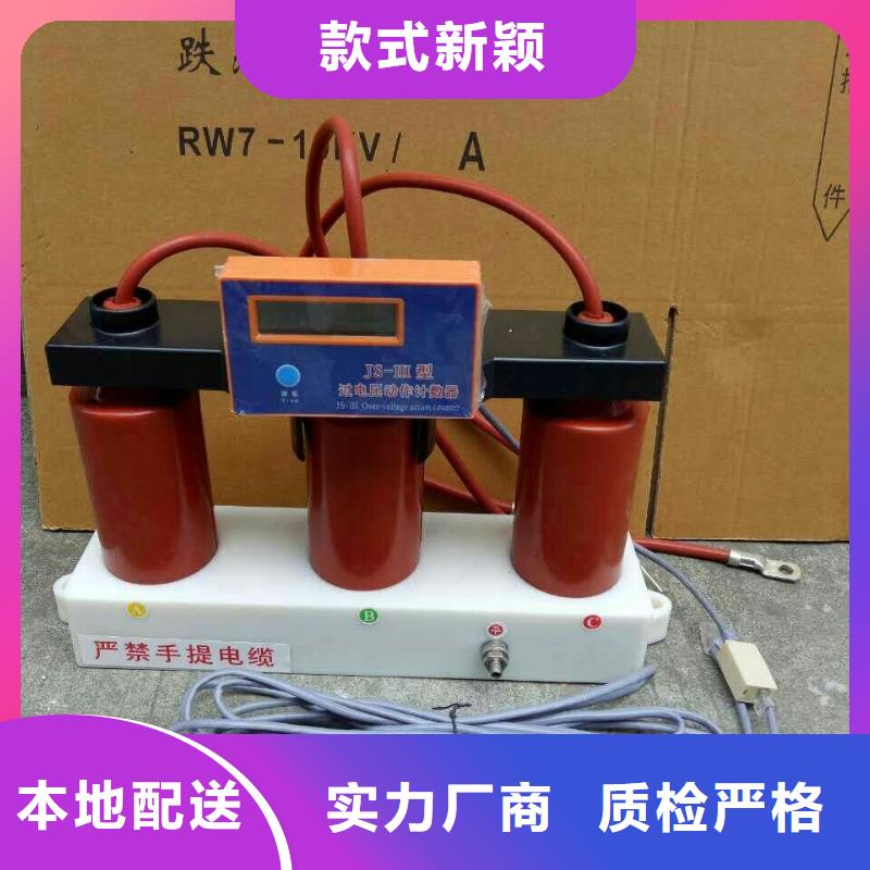 【羿振电气】保护器(组合式避雷器)TBP-B-35/310