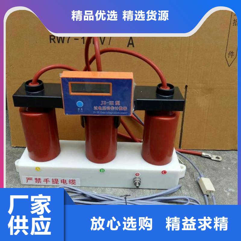 【避雷器/过电压保护器】TBP-B-42F/200