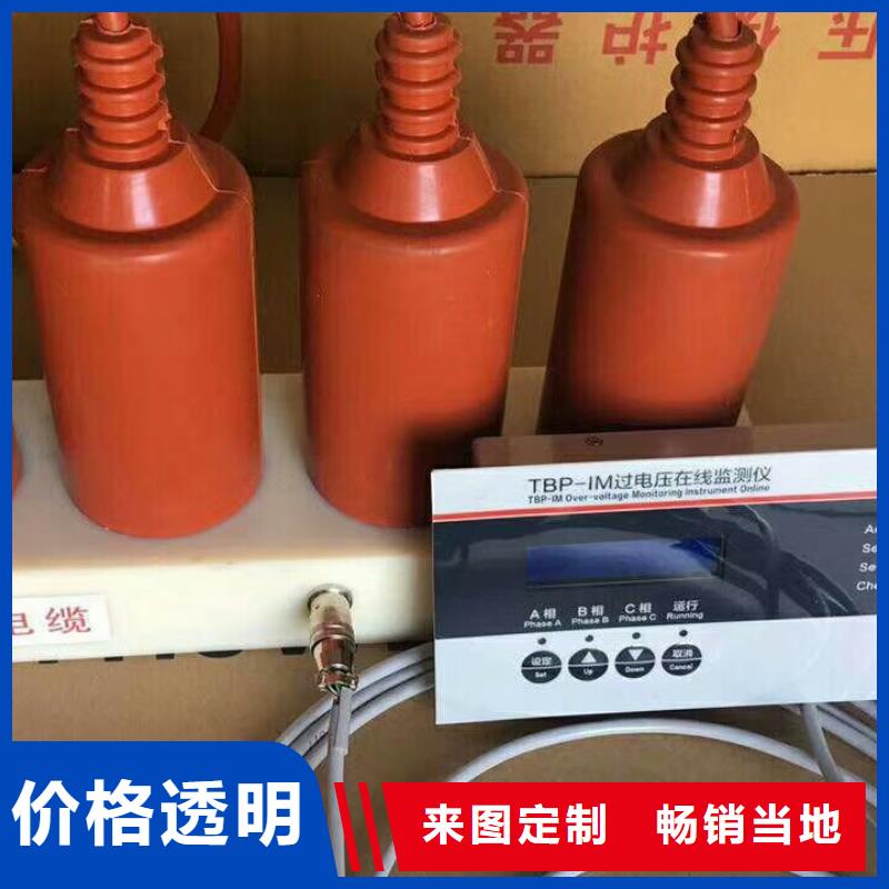 保护器(组合式避雷器)TBF-B-7.6F/131-J