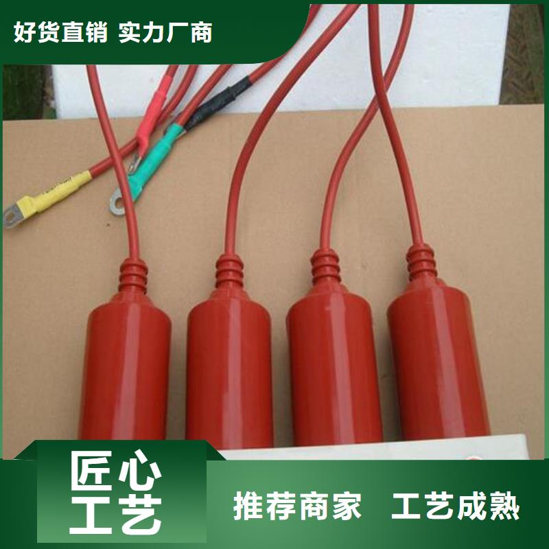 过电压保护器(组合式避雷器)YH5WZ-5/13.5*2