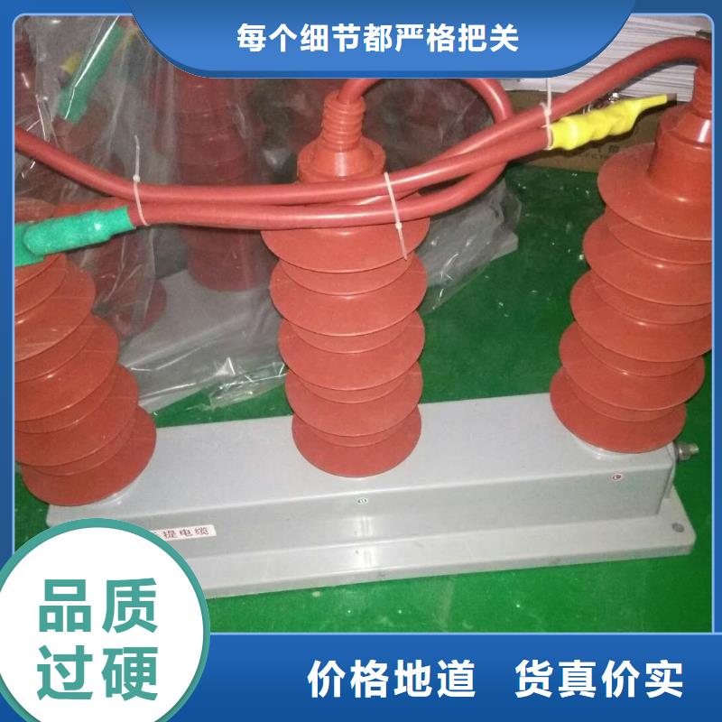 【避雷器/过电压保护器】TBP-B-42F/200