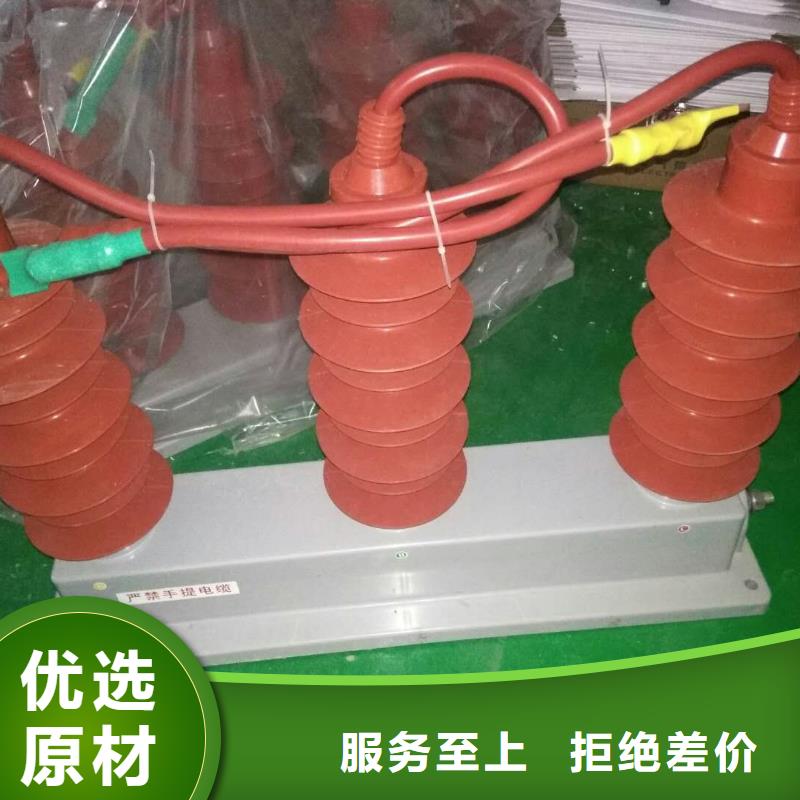 过电压保护器(组合式避雷器)BSTG-C-17