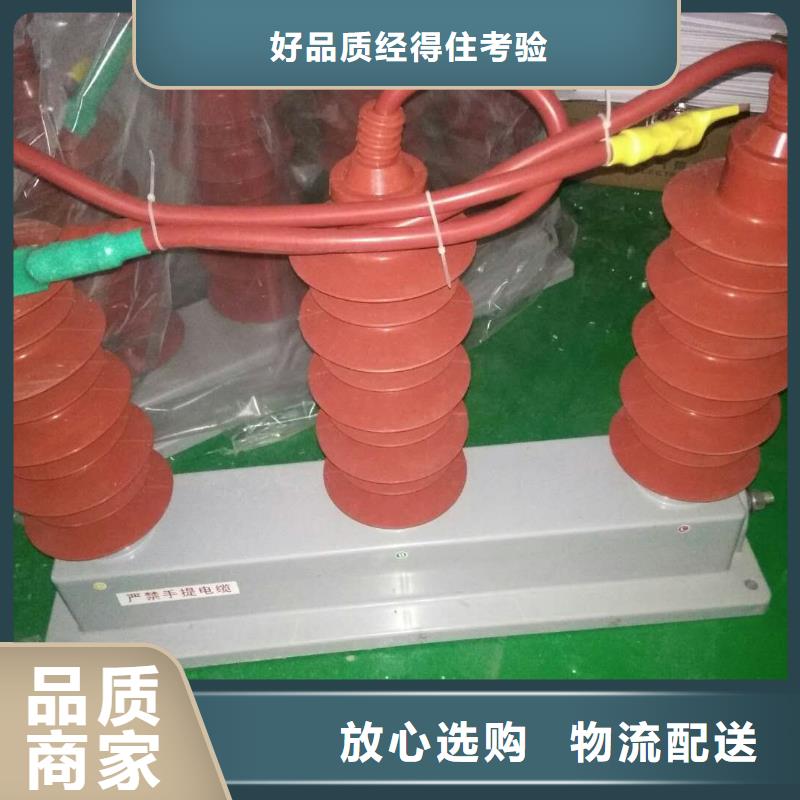 过电压保护器(组合式避雷器)SYB-A-7.6KV/150-J