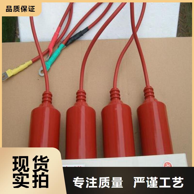过电压保护器(组合式避雷器)YH5WD-13.5/38.7*13.5/31.0