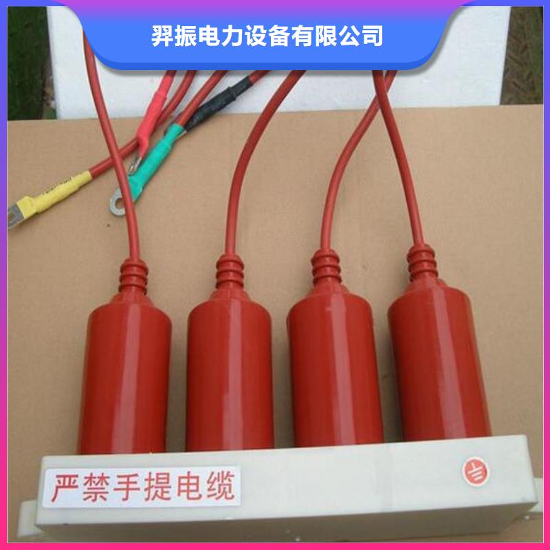 〖过电压保护器〗TBP-A-35/200厂家报价