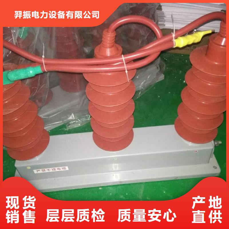 【羿振电气】过电压保护器TBP-B-10