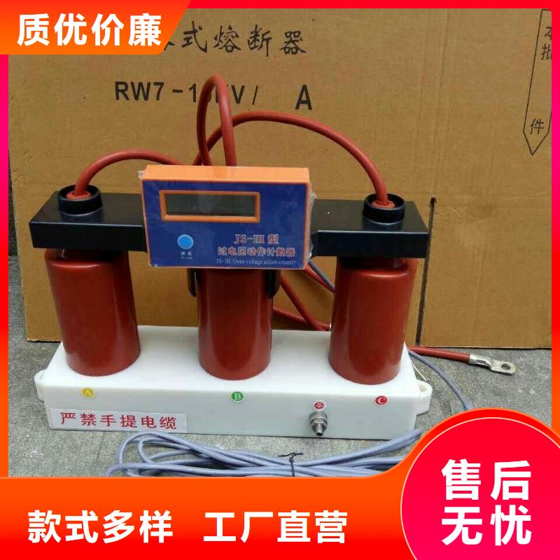 【避雷器/过电压保护器】YH5CR-51/116*2