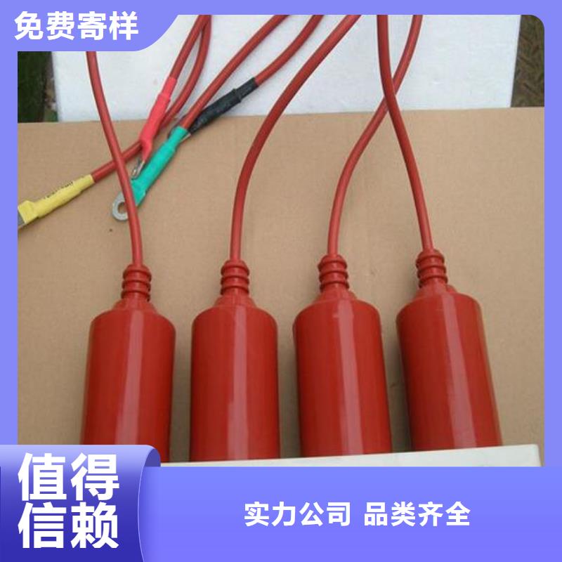 【避雷器/过电压保护器】TBP-A-42/280