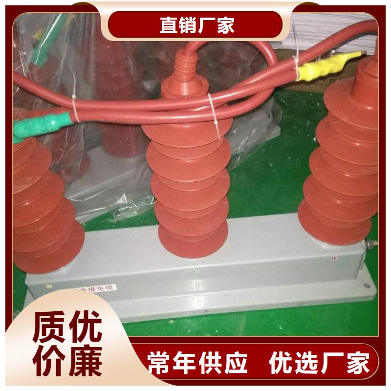 【避雷器/过电压保护器】YH5CR-51/116*2