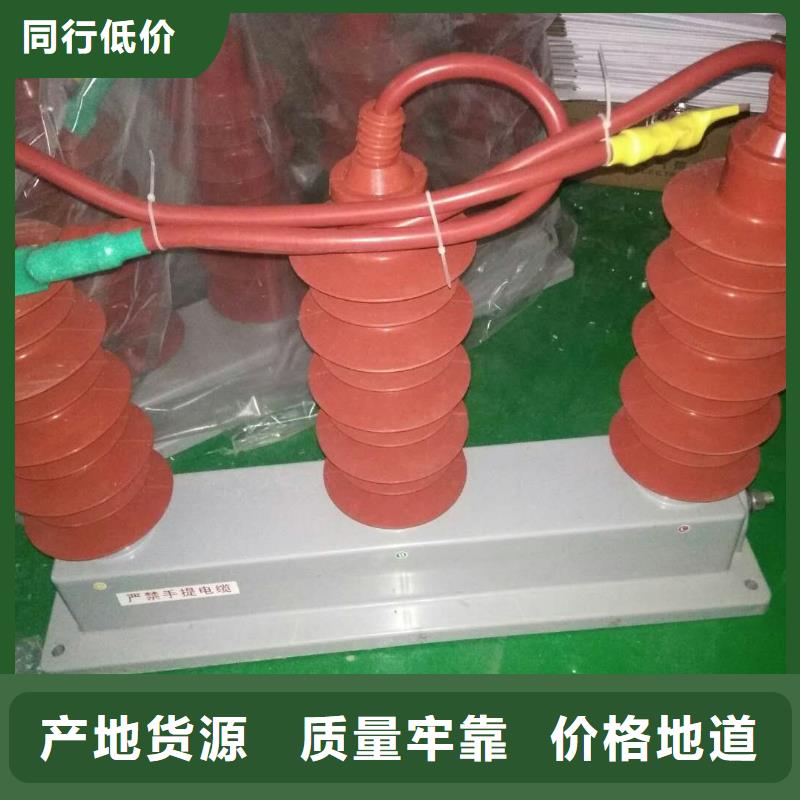 过电压保护器TGB-D-15.75/N