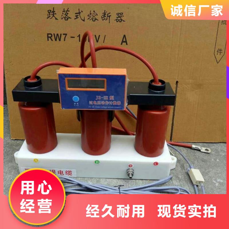 【羿振牌】〖过电压保护器〗BSTG-B-12.7/131厂家直销