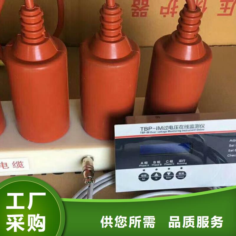 〖过电压保护器〗TBP-B-42F/200质量保证