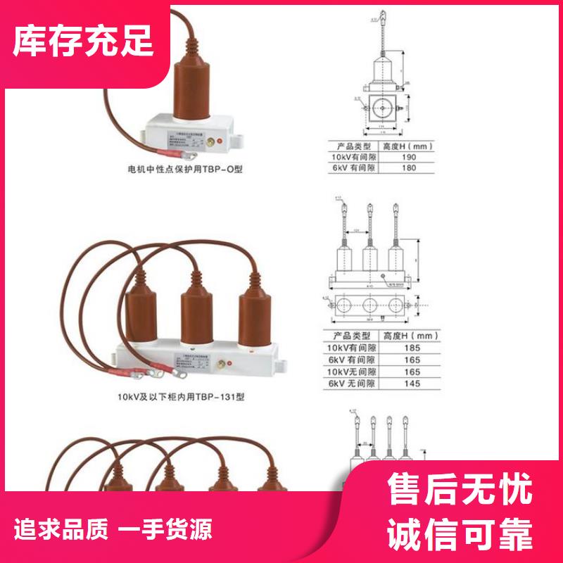 保护器(组合式避雷器)TBF-C-42F/630W2