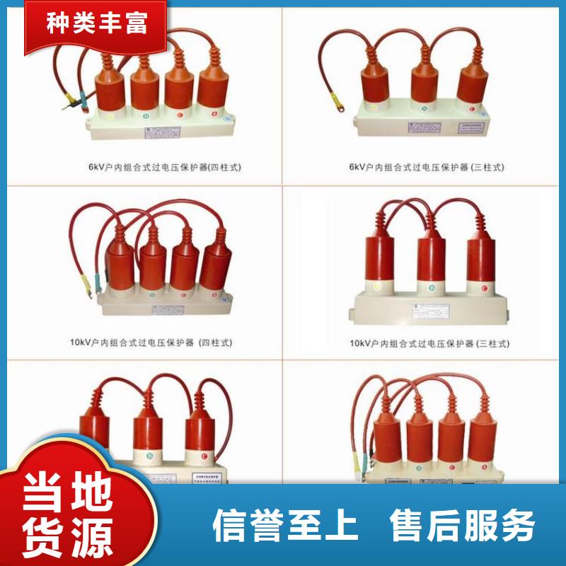 过电压保护器(组合式避雷器)BSTG-A-6.3-J