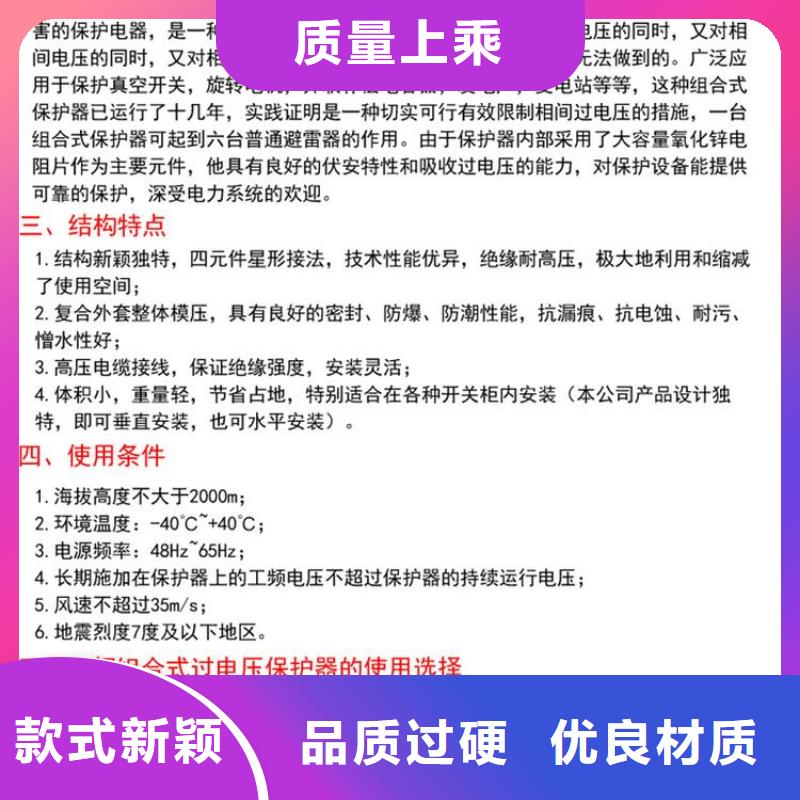 过电压保护器(组合式避雷器)TBP-B-35/F