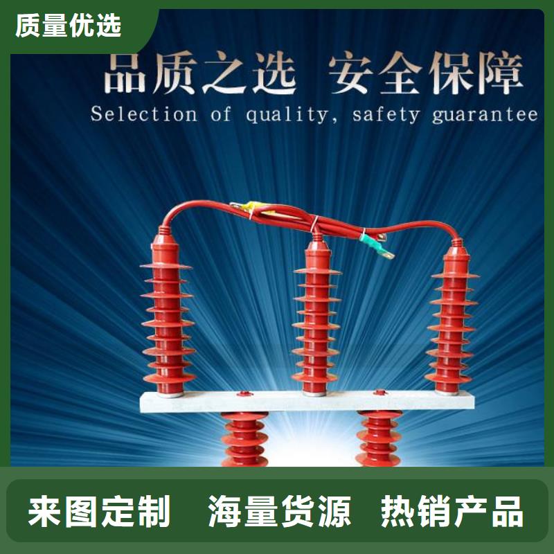 保护器(组合式避雷器)TBP-C-12.7/150