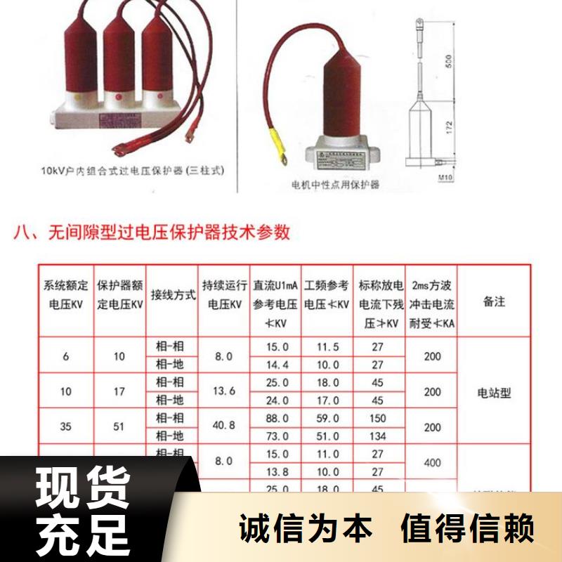 【羿振电气】保护器(组合式避雷器)TBP-B-35/310