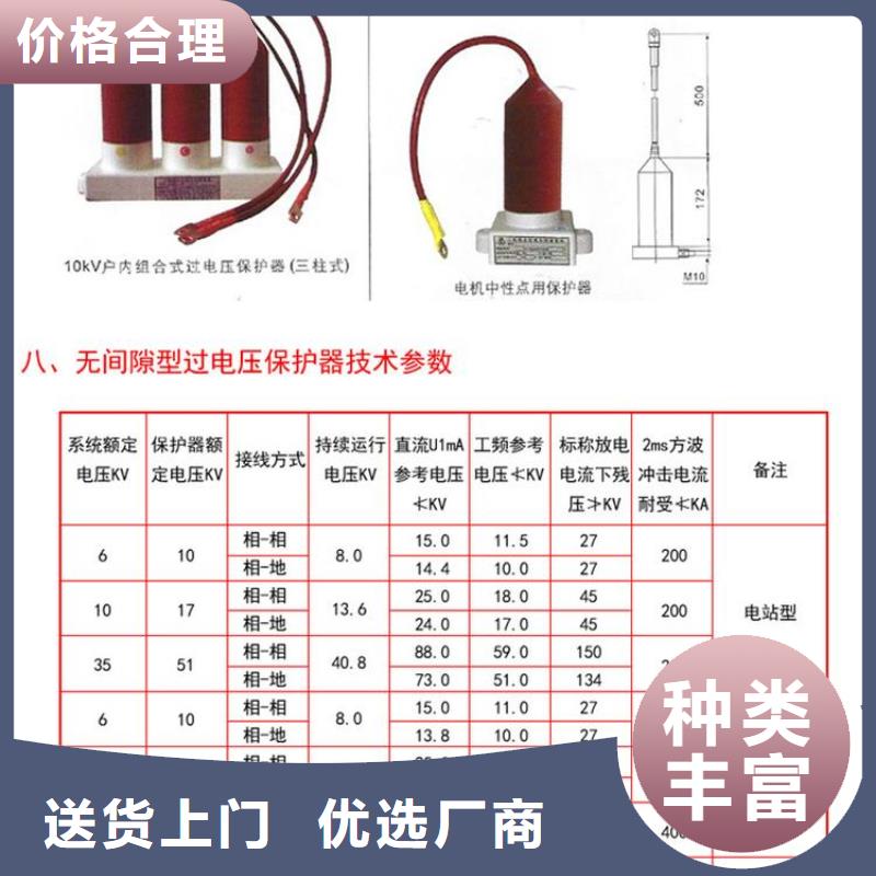 【避雷器/过电压保护器】TBP-B-42F/280-J