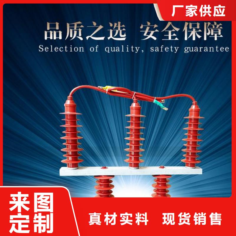 过电压保护器(组合式避雷器)YH5WZ-5/13.5*2