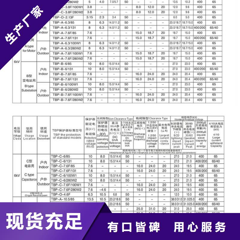 过电压保护器(组合式避雷器)TBP-A-42/400W