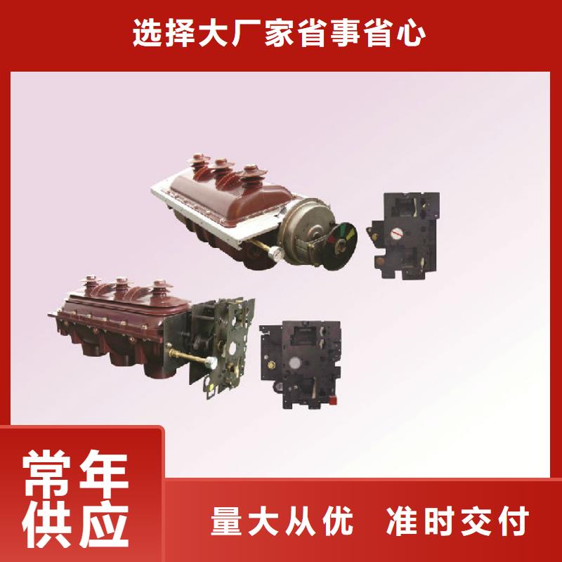 户内高压负荷开关FZN12-12RD