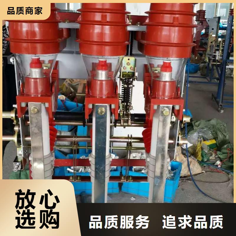户内高压负荷开关FZRN21A-10D/125-31.5_