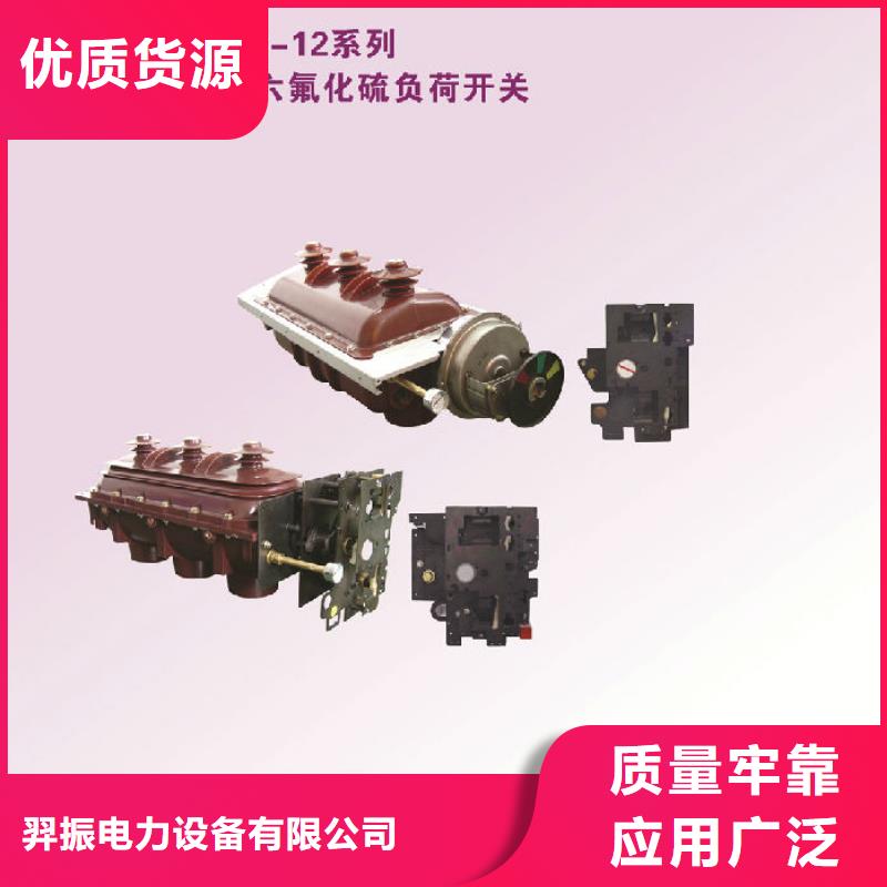 户内高压负荷开关FN21A-12D/630-20现货报价