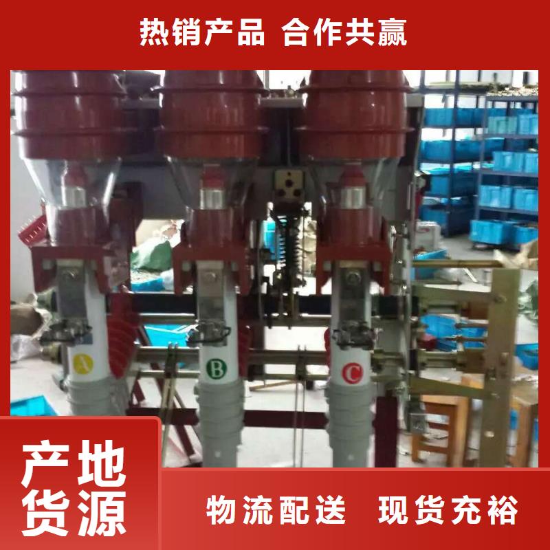 户内高压负荷开关FZN12-12RD