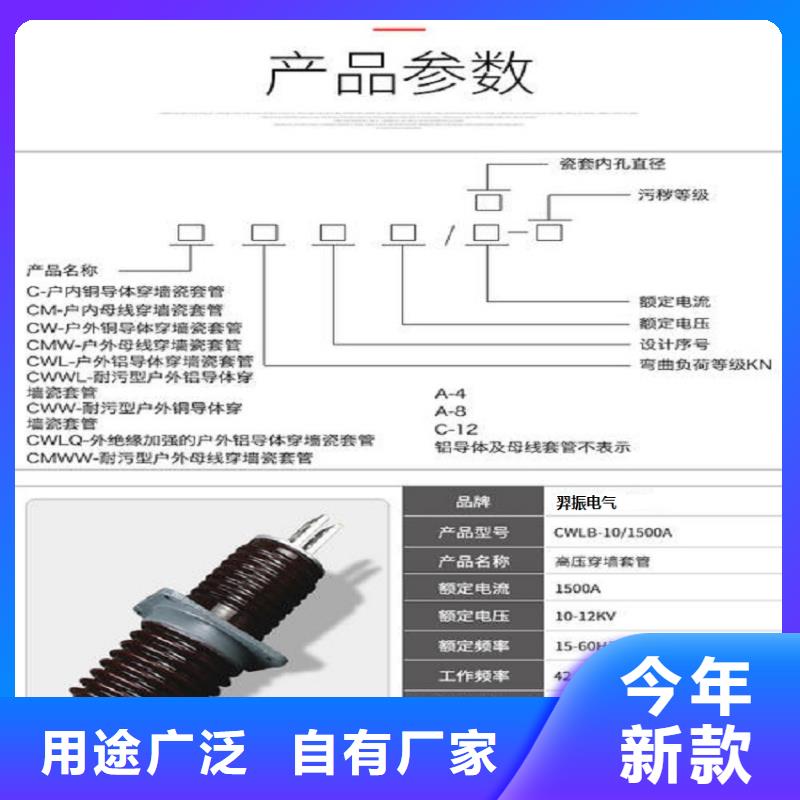 穿墙套管CWW-40.5/2500-4