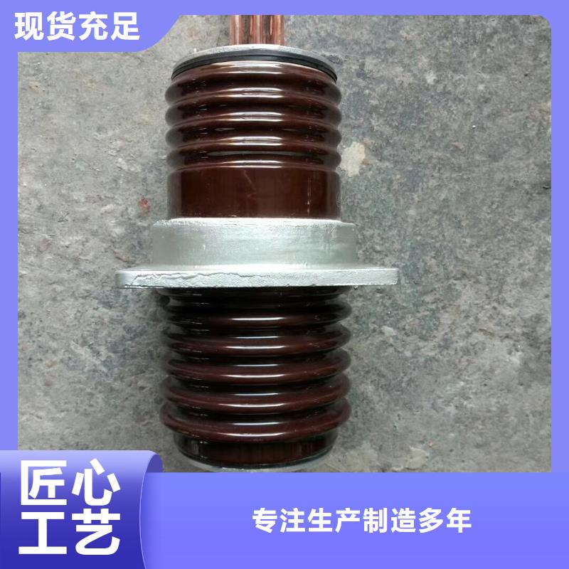 穿墙套管CWWL-20/1250A