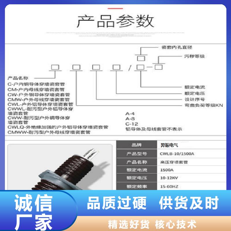 【穿墙套管】CWL-35KV/3000A