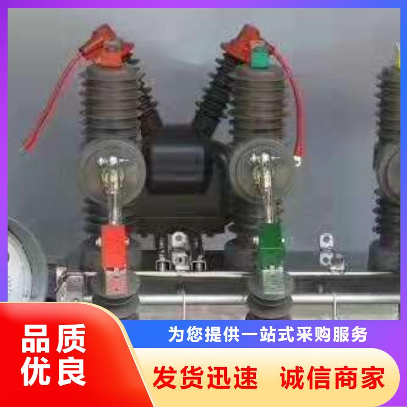 【真空断路器】ZW32-12F/630-12.5