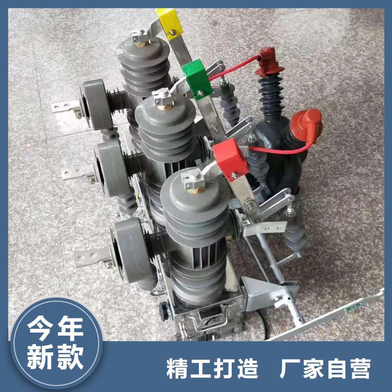 【ZW32断路器】ZW32-12GF/630*ZW32-12GF/630