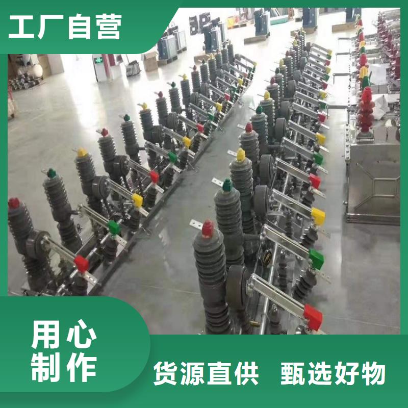 【真空断路器】ZW32-12GF/630