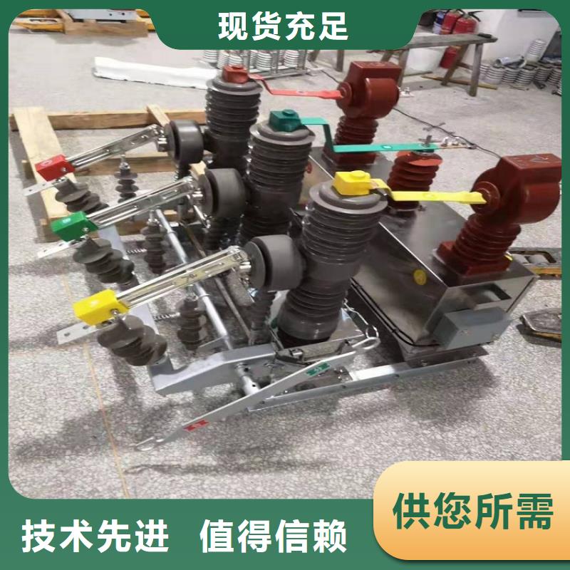 品牌【羿振电力】ZW32-12/630-25电动＿弹簧操作机构