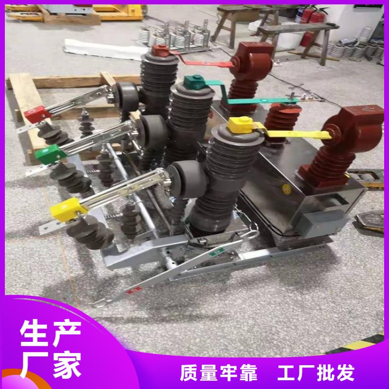【柱上断路器】ZW32-12GF/630-25