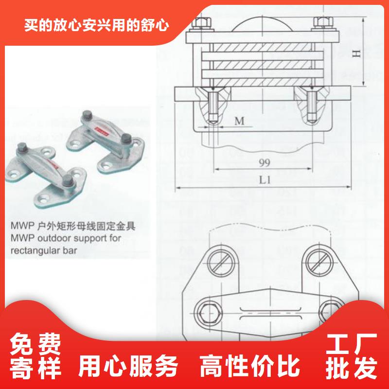MNP-208