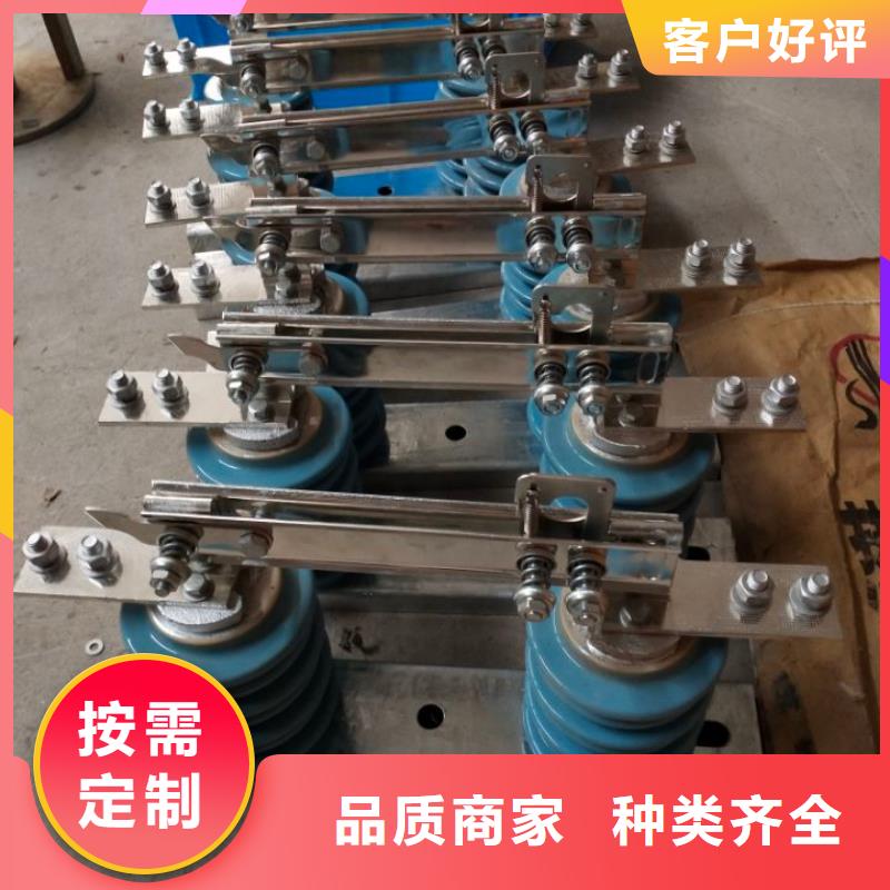 【羿振电气】隔离开关GW9-10KV/1000