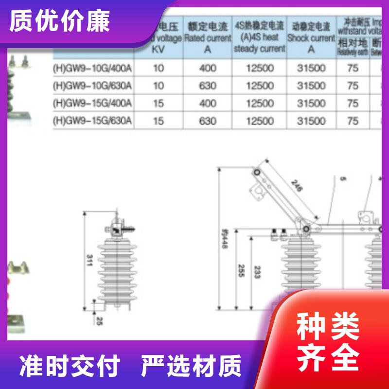 【羿振电气】隔离开关HGW9-12/630A